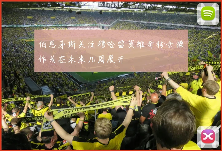 伯恩茅斯关注穆哈雷莫维奇转会操作或在未来几周展开