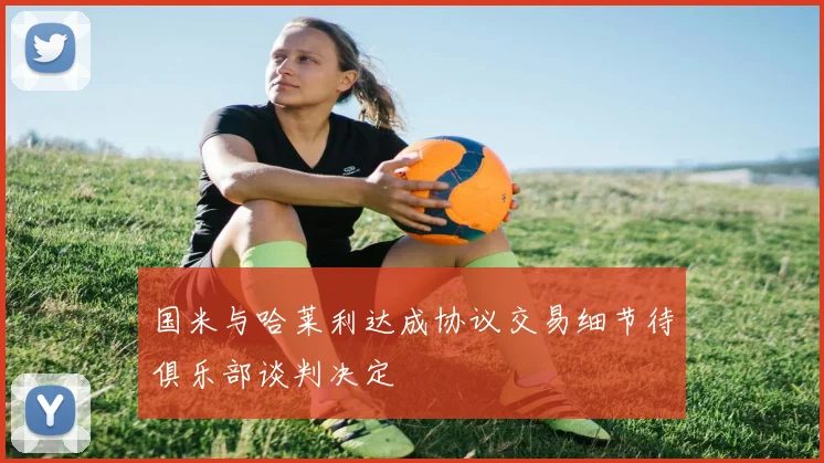 国米与哈莱利达成协议交易细节待俱乐部谈判决定